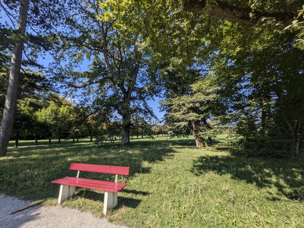banc-3251