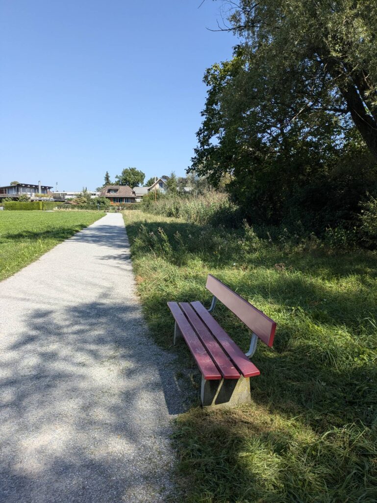 banc-3256