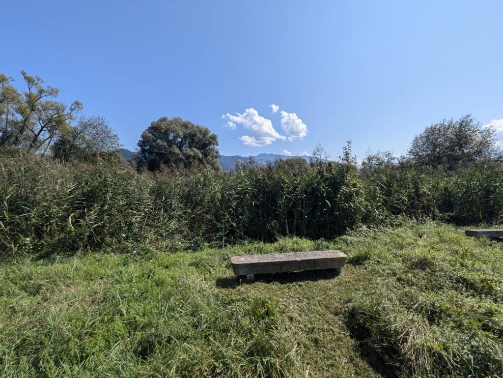 banc-3257