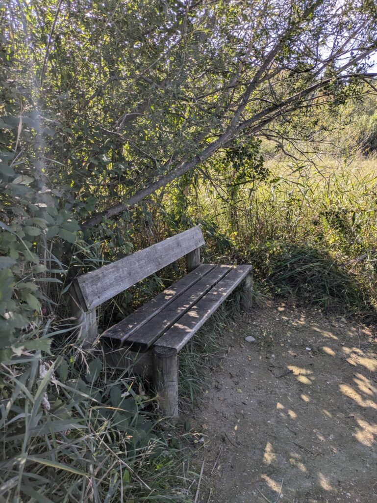 banc-3276