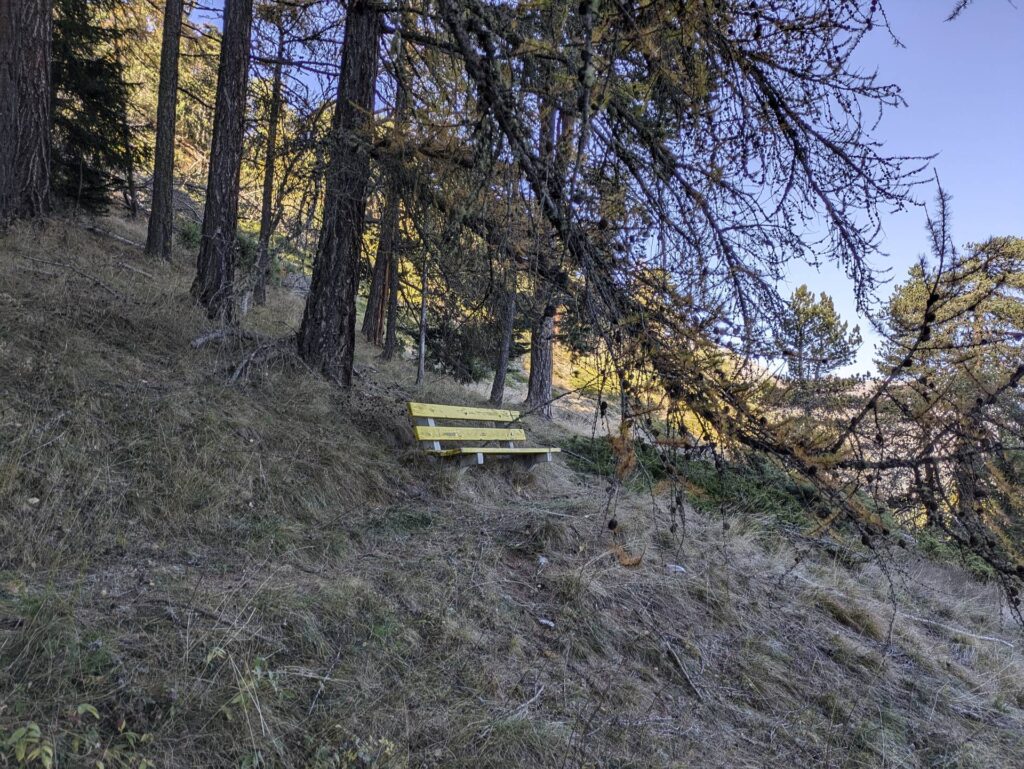 banc-3304