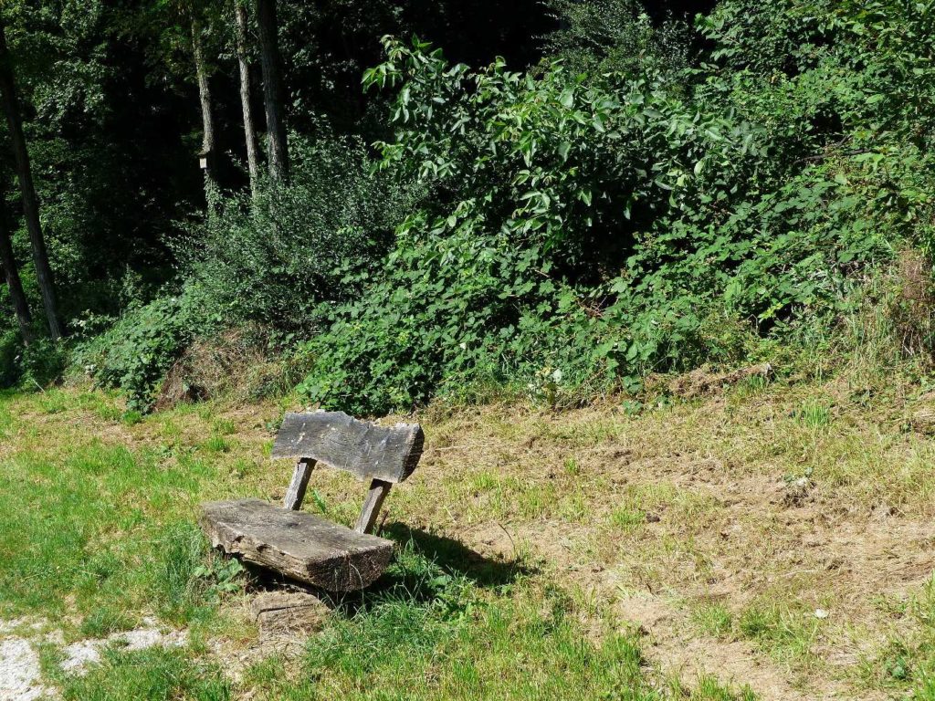 banc-343