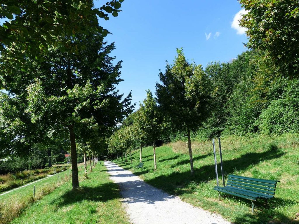 banc-345