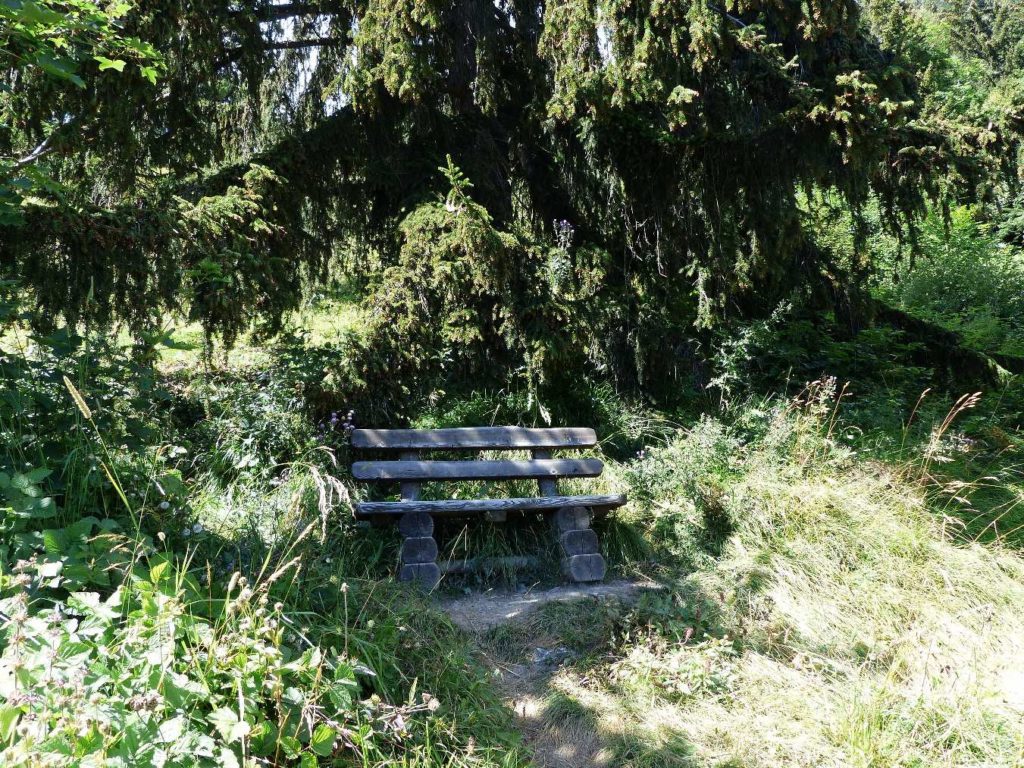 banc-358