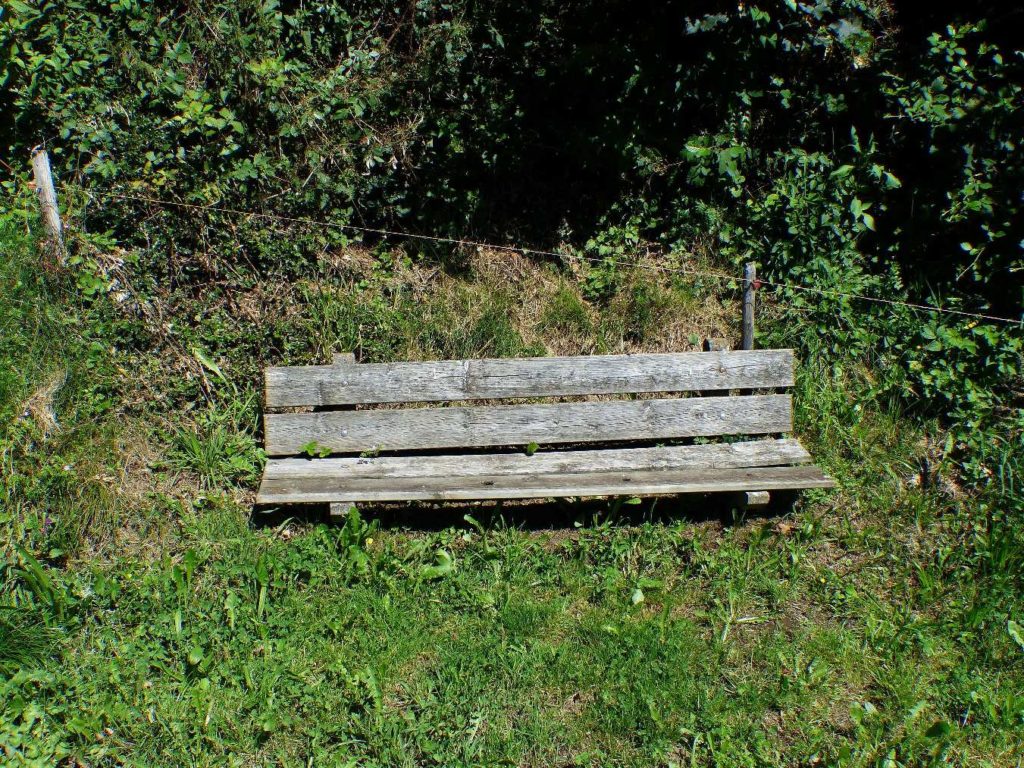 banc-359