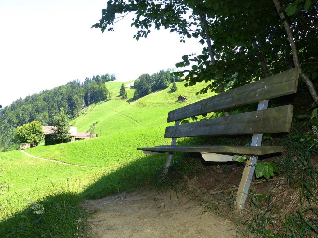 banc-37