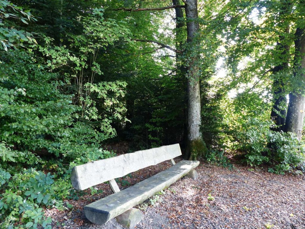 banc-383