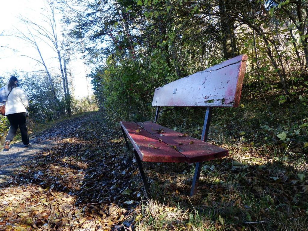 banc-385