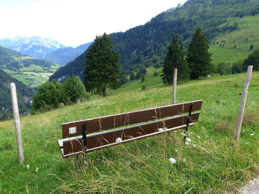 banc-39