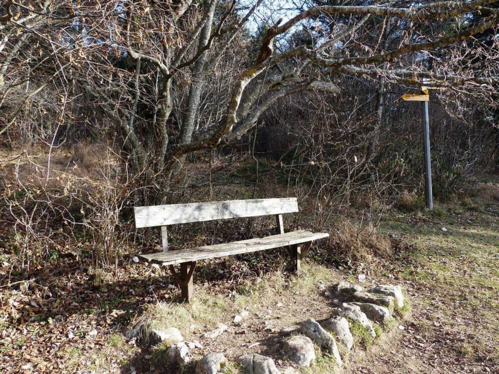 banc-391