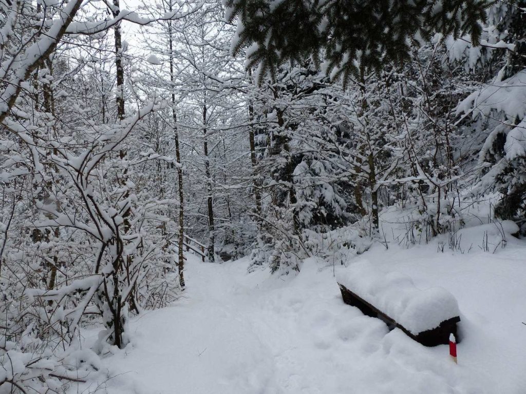 Chalet-à-Gobet, Les Liaises, Le Flon, La Datte, Les Croisettes, Lausanne, neige