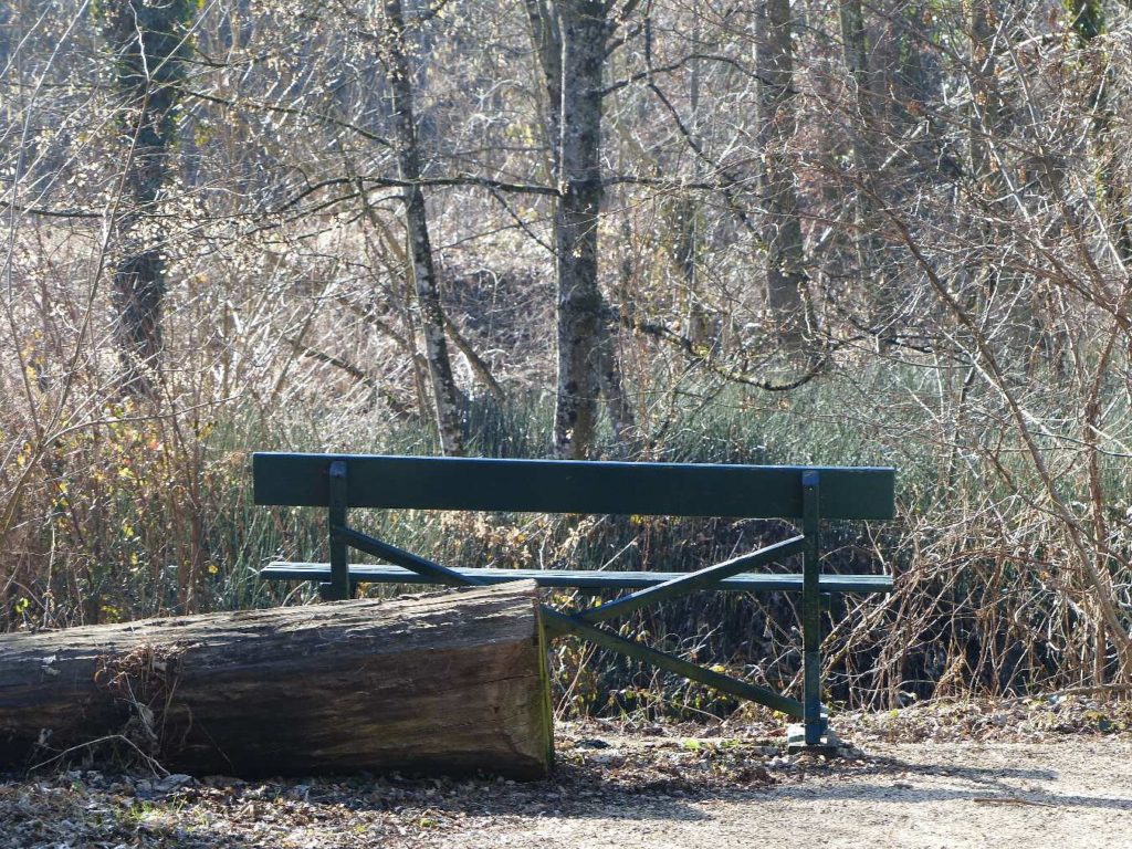 banc-396