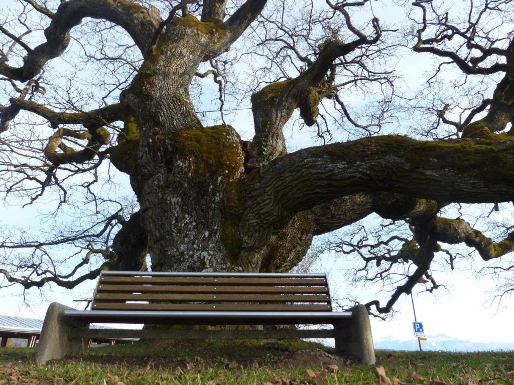 banc-399