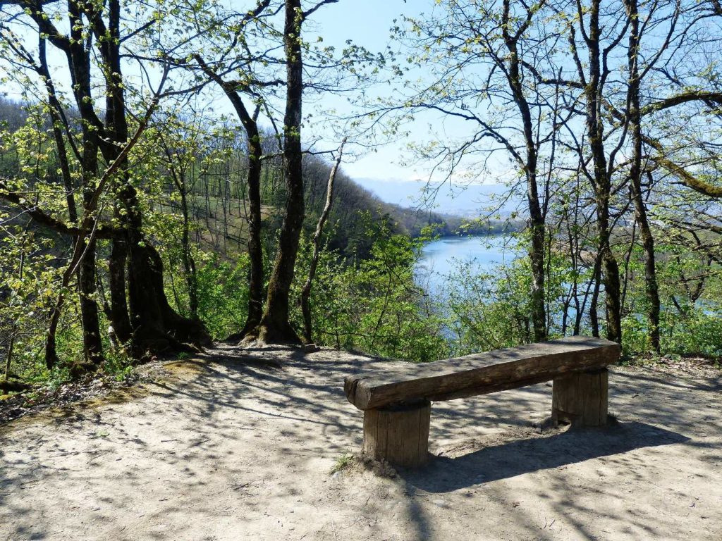 banc-408