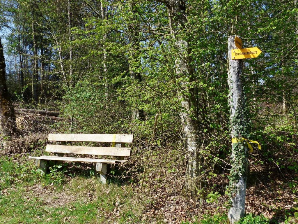 banc-414