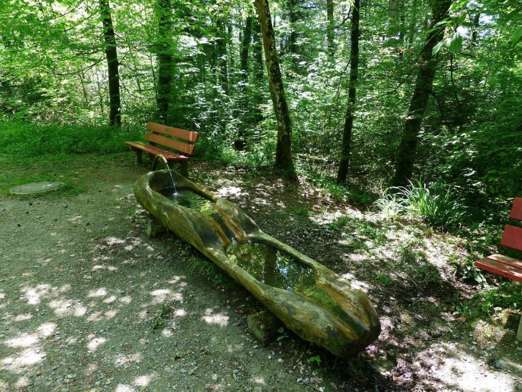 banc-437