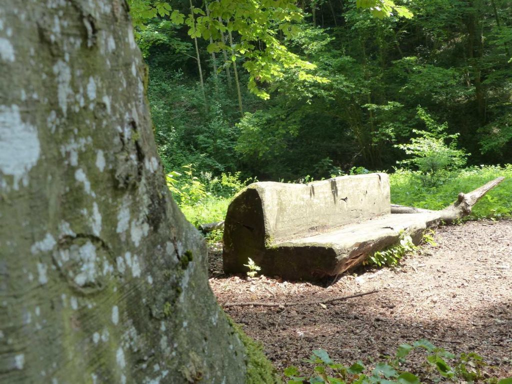 St-Prex, Perceval, Le Boiron, sentier de la truite, Morges