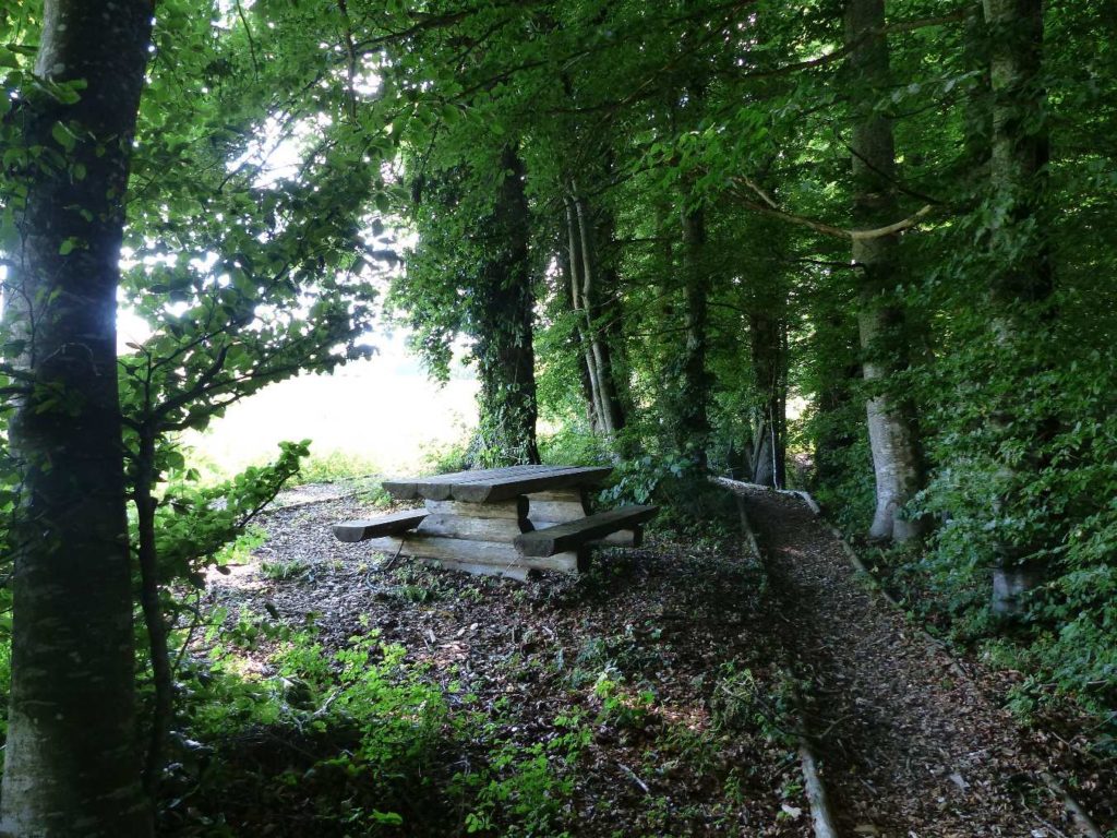 banc-453
