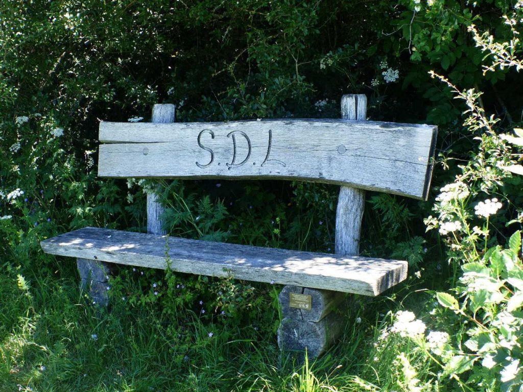 banc-458