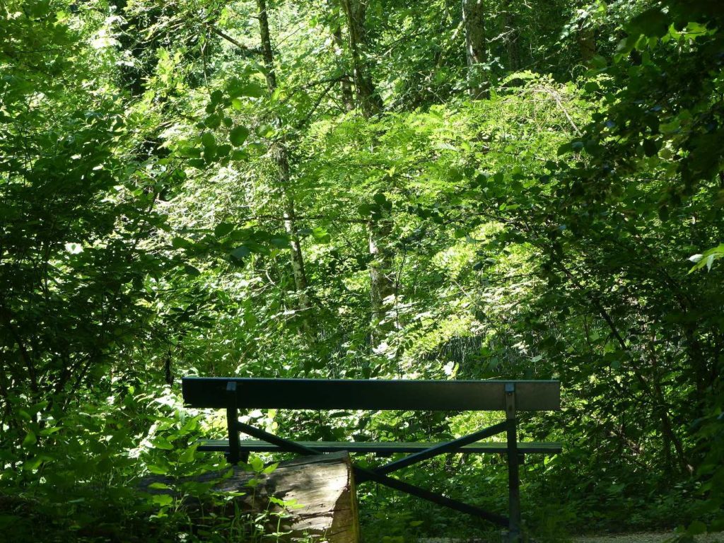 banc-459