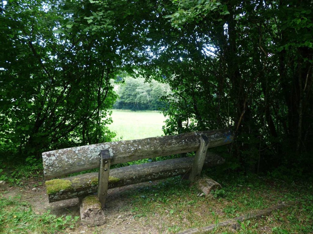 banc-464