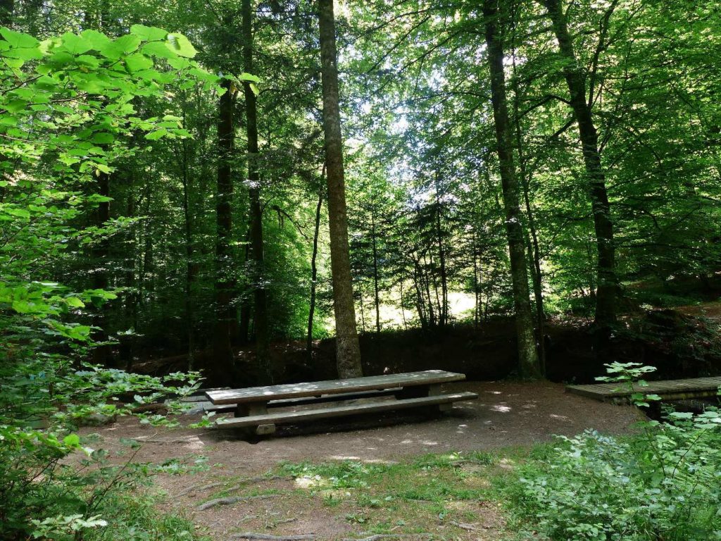 banc-468