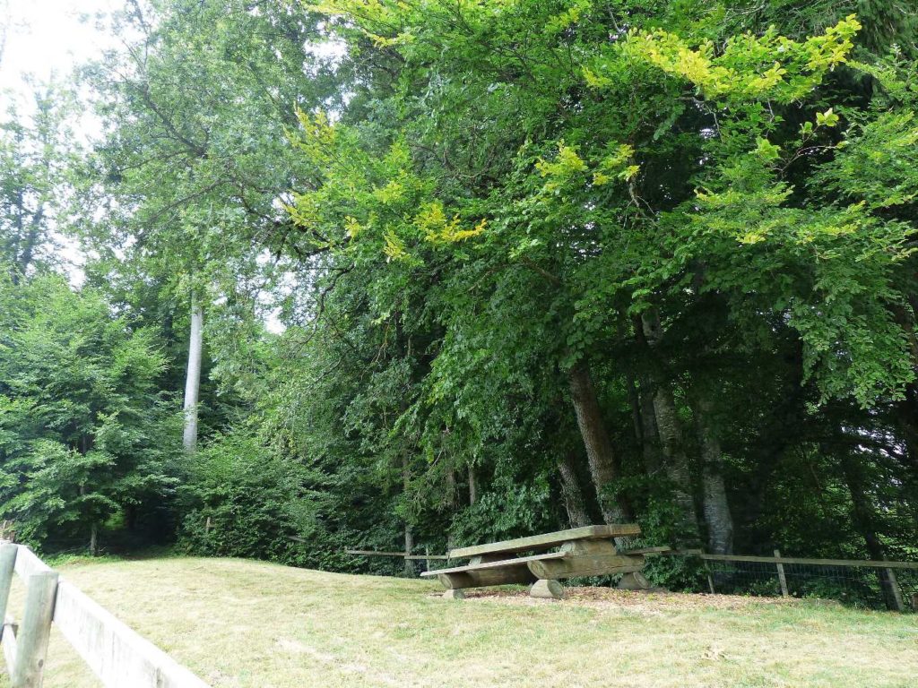 banc-478