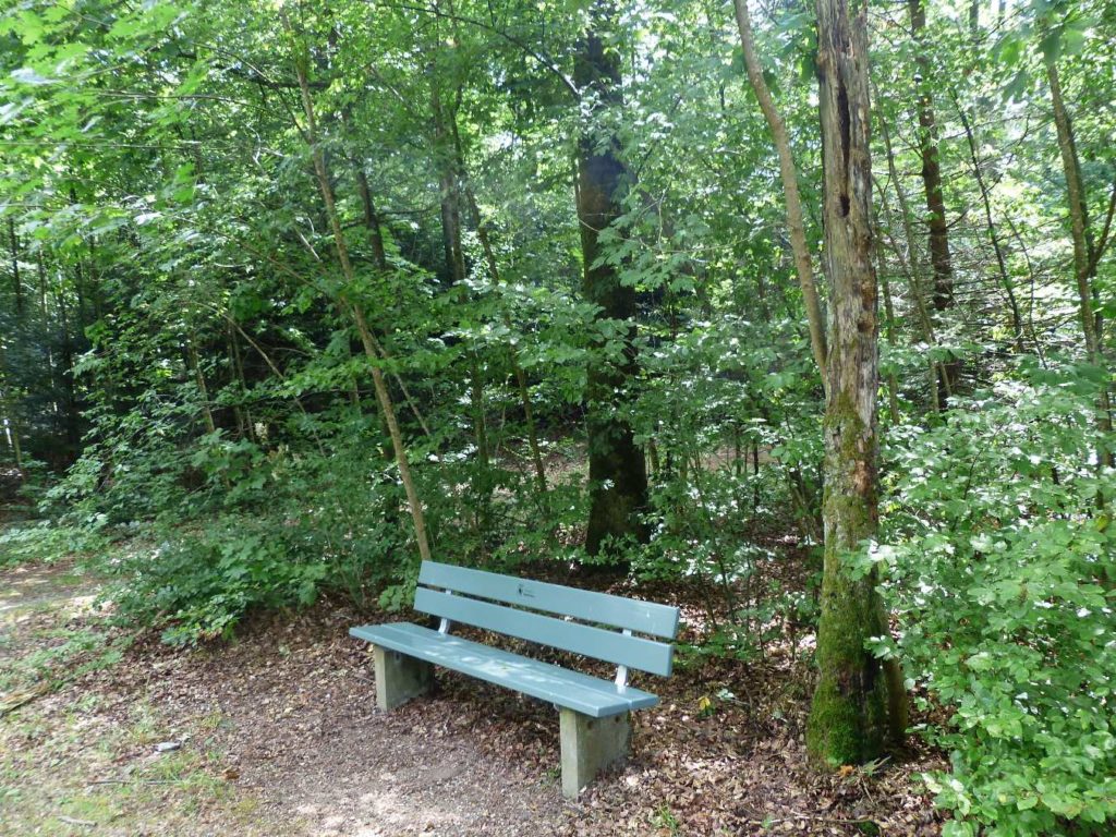 banc-482