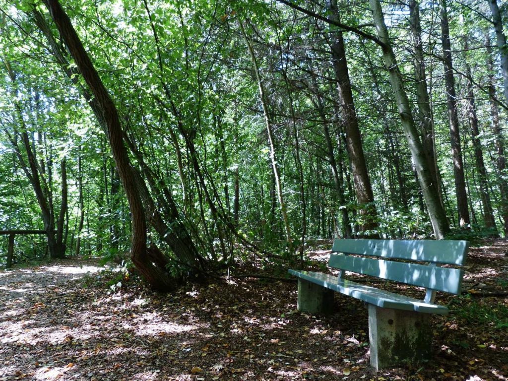 banc-483
