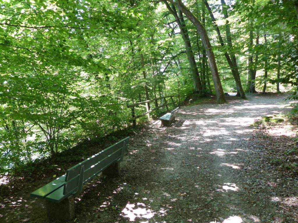 banc-484
