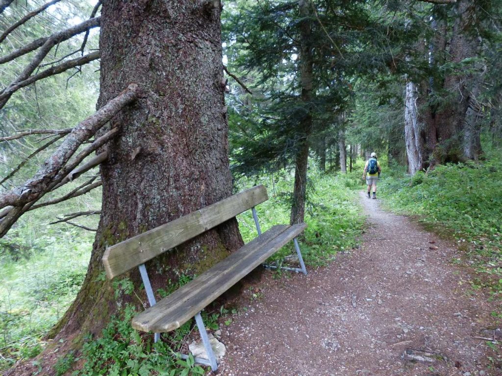 banc-485