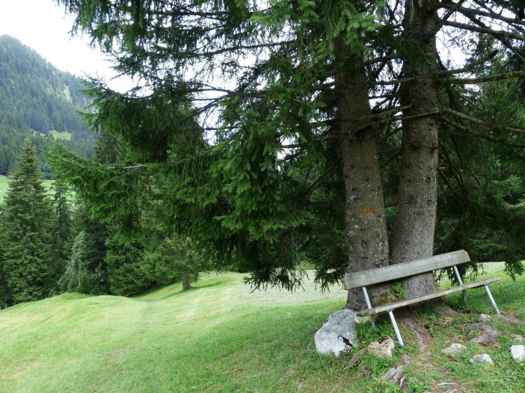 Col du Pillon, Fond des Joux, Reusch, Heiti, Gsteig, Saali, Feutersoey