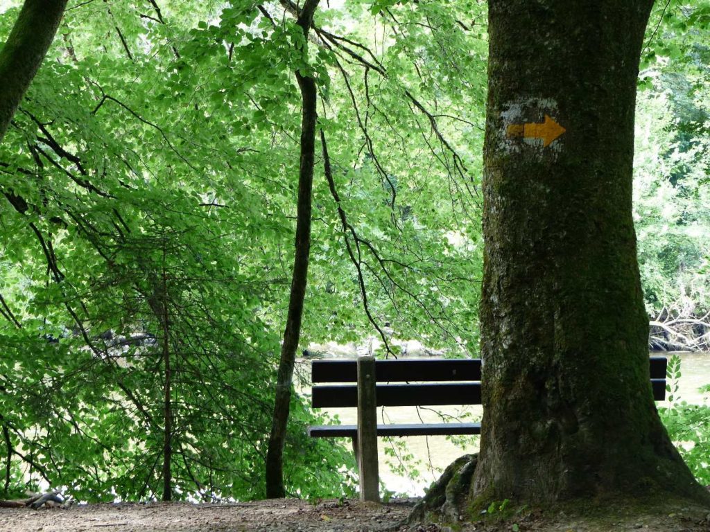 Laupen, Auriedstäg, Eiholz, Hirsried, Sägetwald, Gümmenen, Sarine, Saane