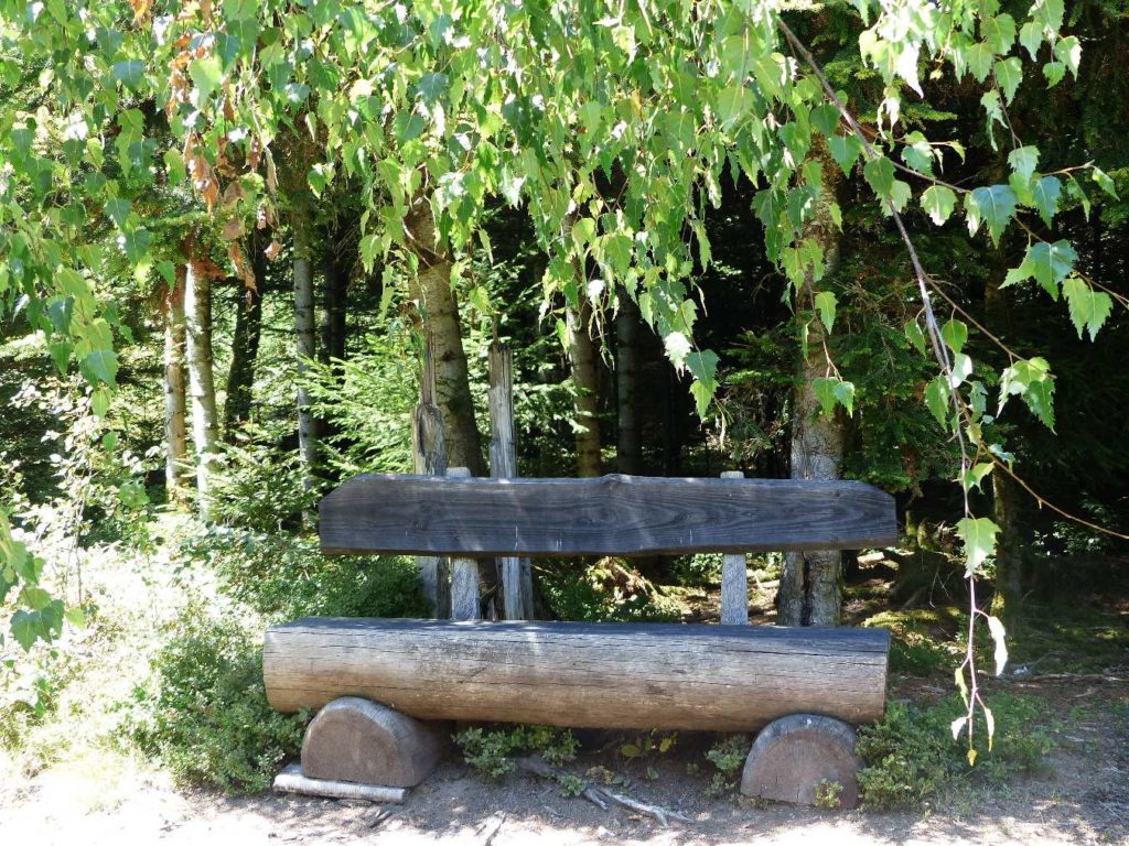 banc-489
