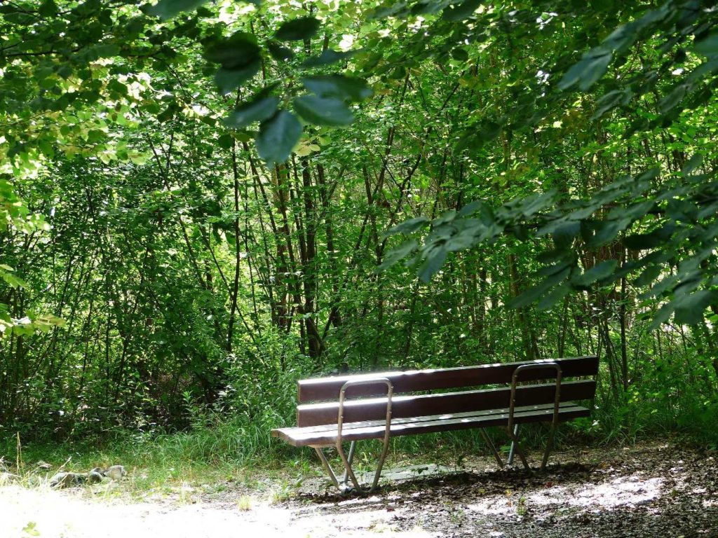 banc-503