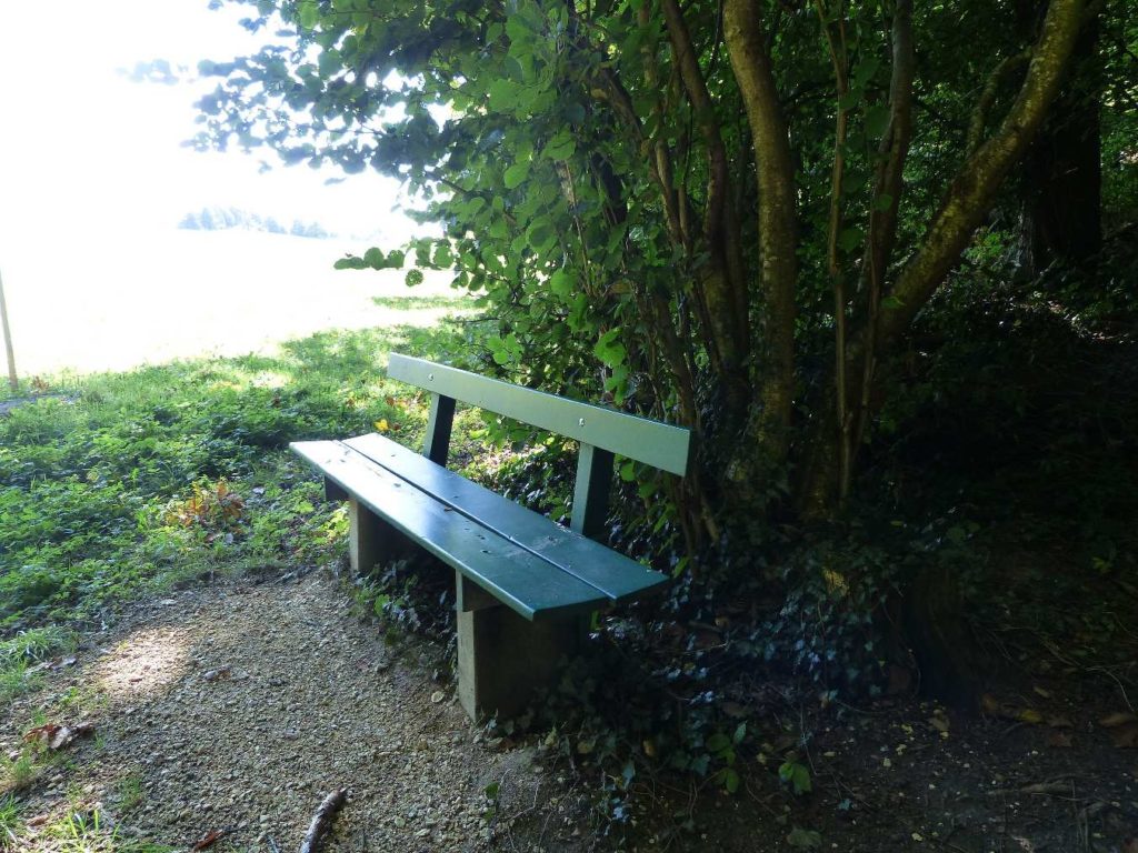 banc-504