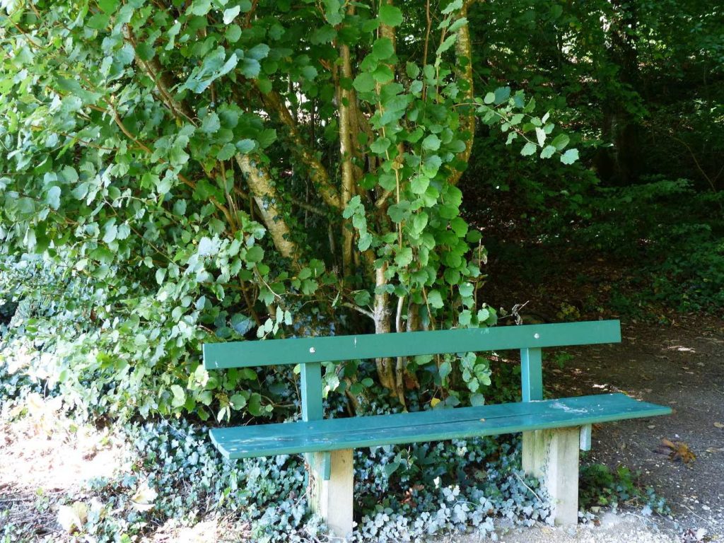 banc-505