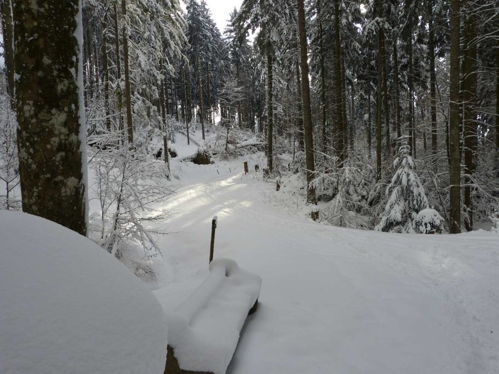 Froideville Grandes Côtes Creux Gadin plaine de Mauvernay neige