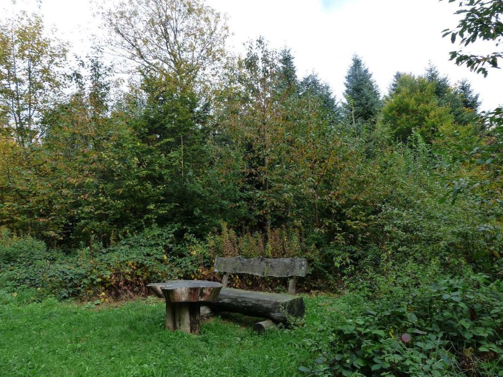 banc-514