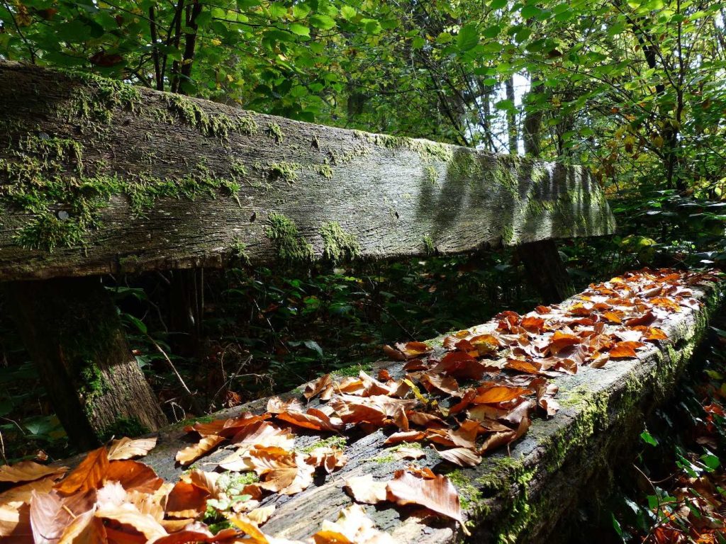 banc-516