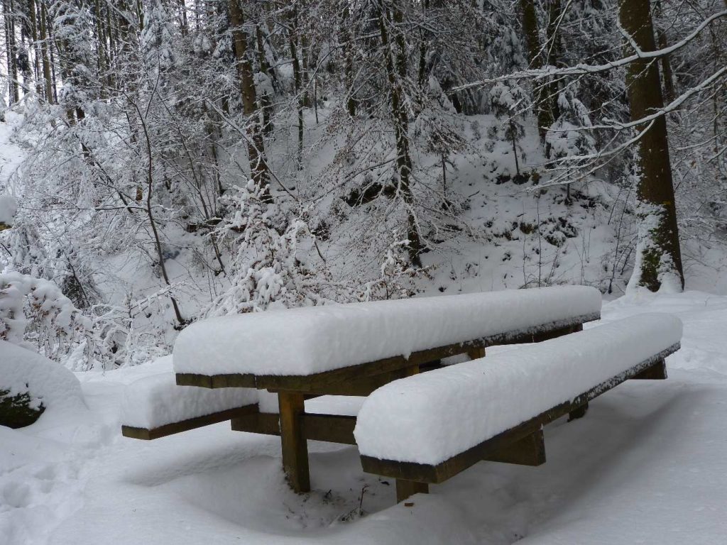 Chalet à Gobet Bois Clot Les Liaises Bois de Gésiau Le Flon Epalinges neige