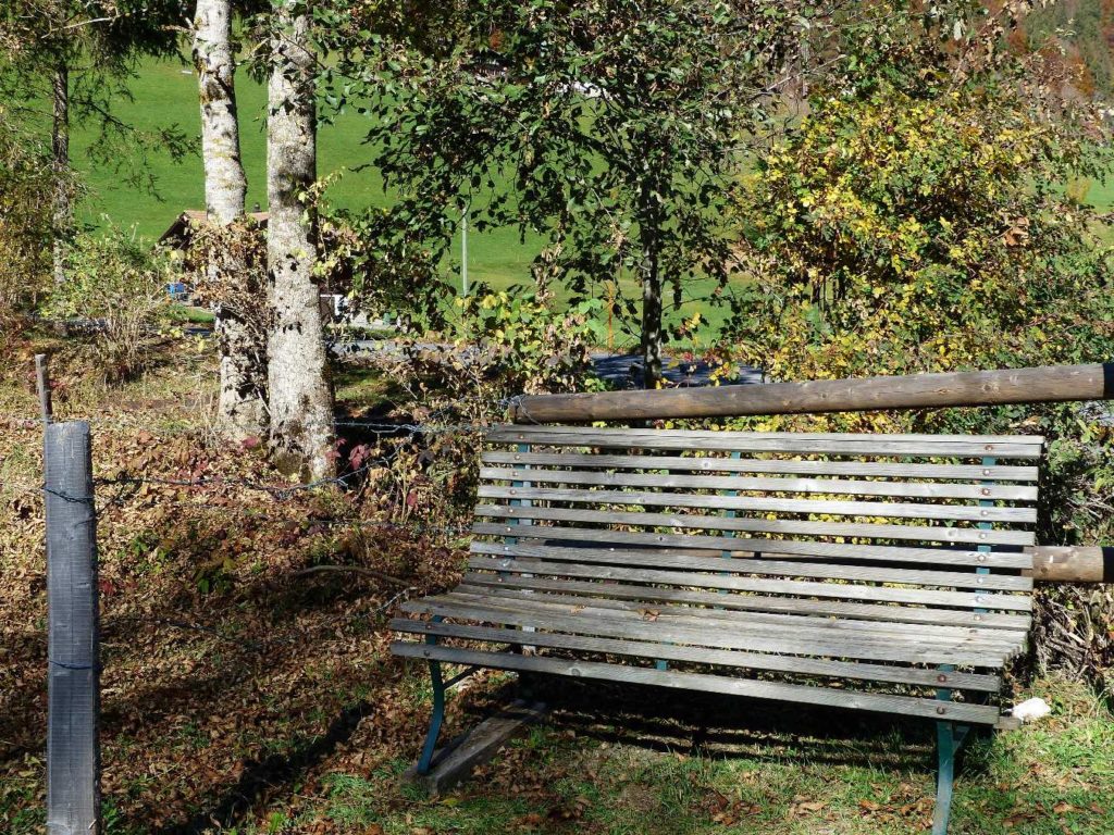 banc-520