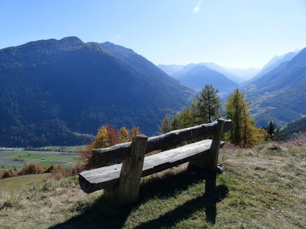 banc-530