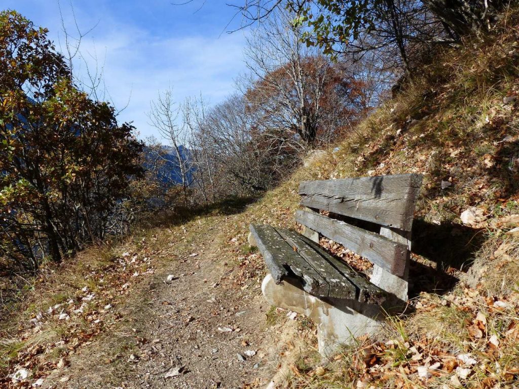 banc-533