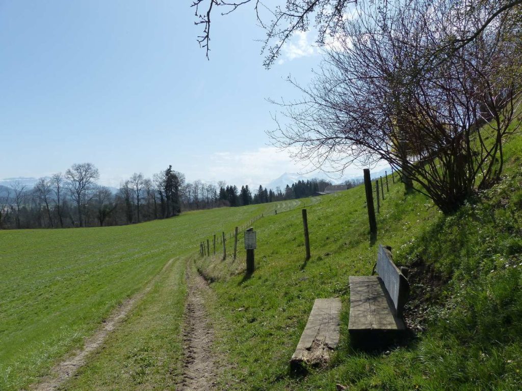 banc-536