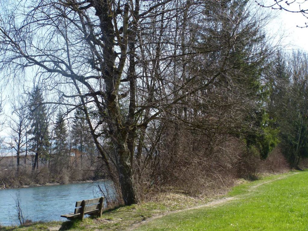 banc-538