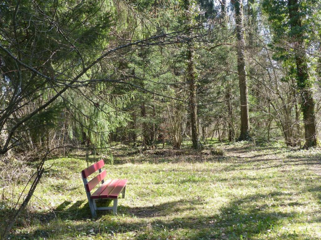 banc-540