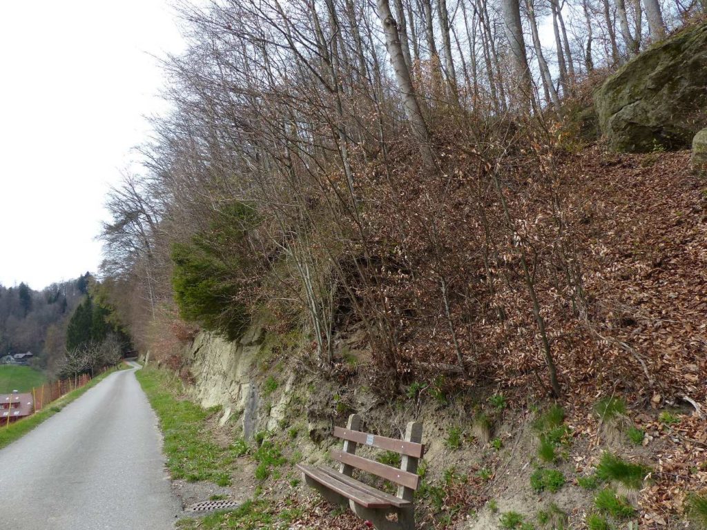 banc-544
