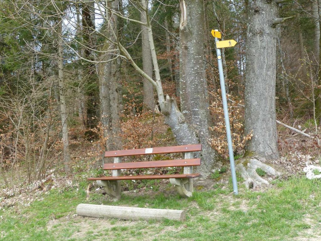 banc-545