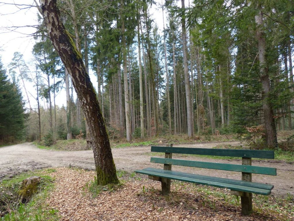 banc-548